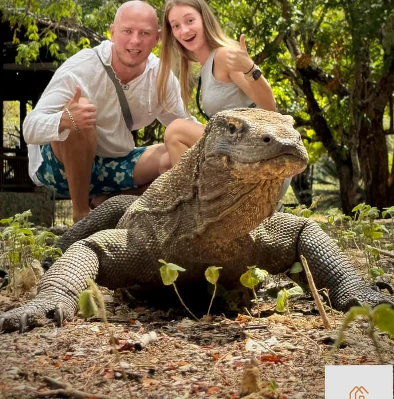 Komodowaran im Angebotsfoto der zweitägigen Tour von Nextdoor Tour & Travel